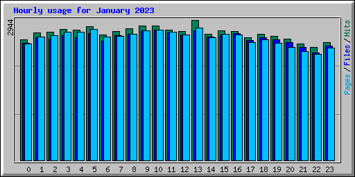 Hourly usage for January 2023