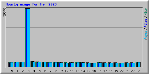 Hourly usage for May 2025