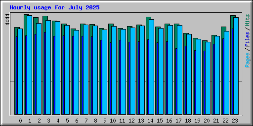 Hourly usage for July 2025