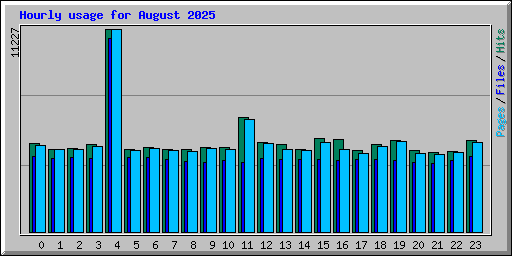 Hourly usage for August 2025
