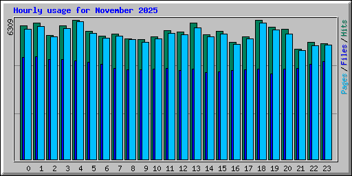 Hourly usage for November 2025
