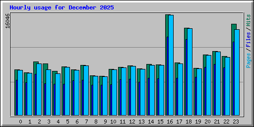 Hourly usage for December 2025