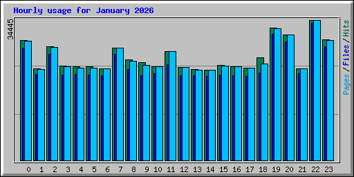 Hourly usage for January 2026